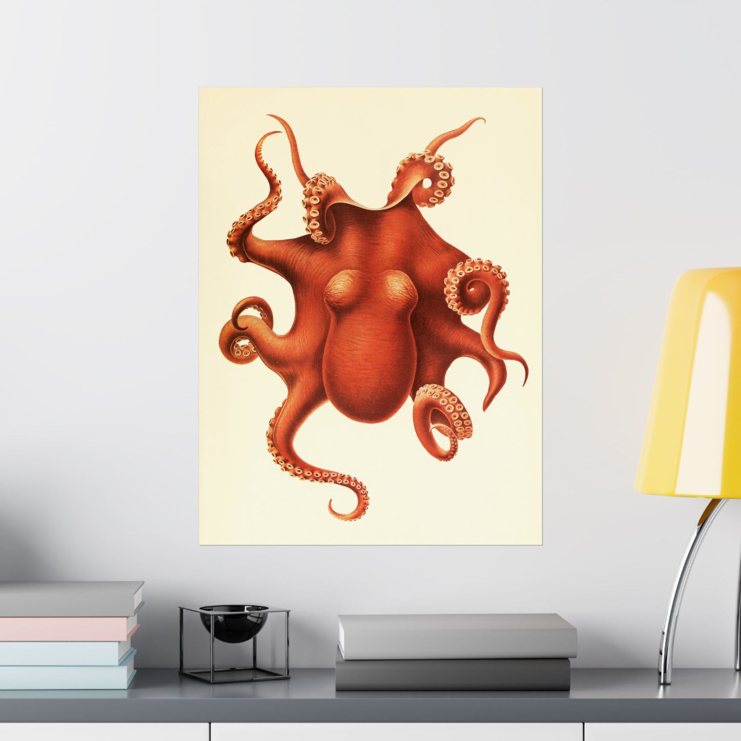 Antique Octopus Illustration, 1910 Marine Biology Print by Ewald Rübsamen, Vintage Sea Creature Artwork
