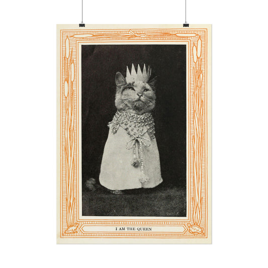 I Am the Queen – 1911 Vintage Cat Portrait – Whimsical Photograph by Eulalie Osgood Grover
