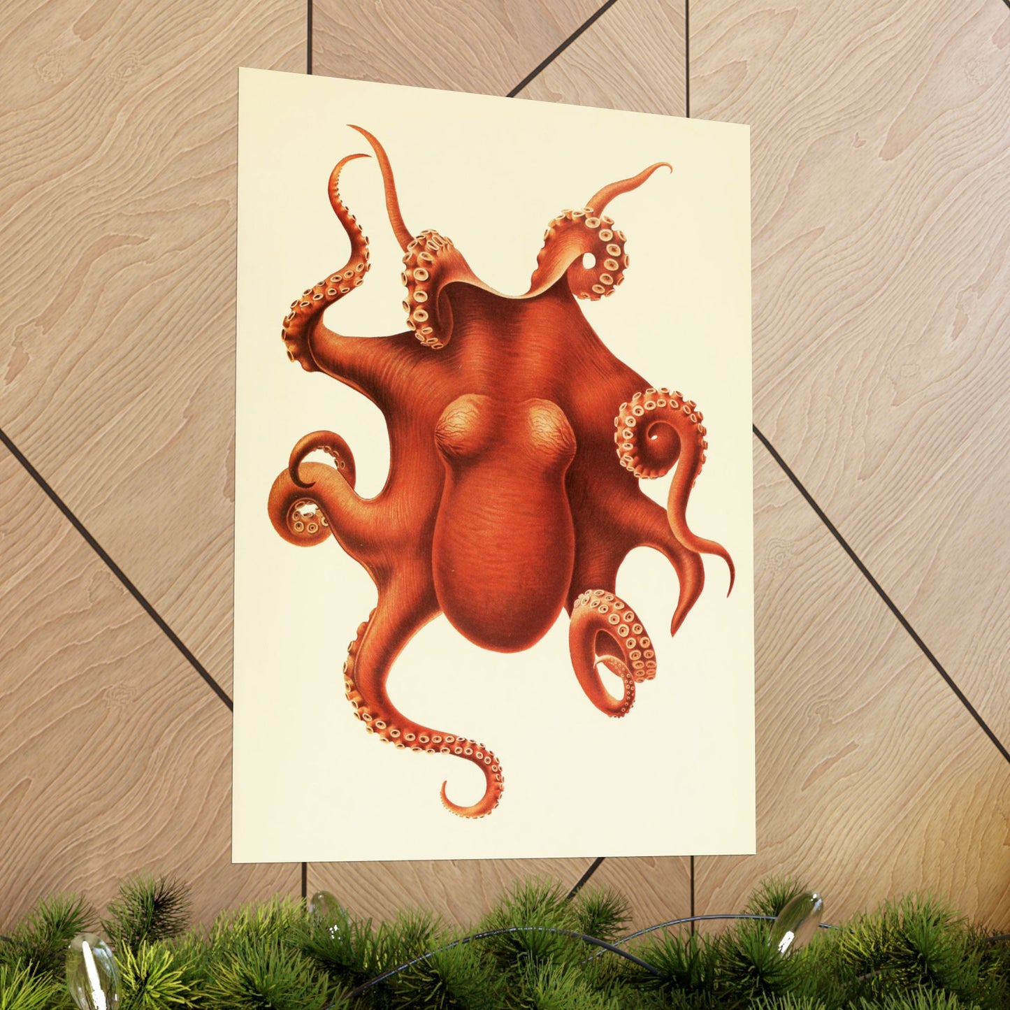 Antique Octopus Illustration, 1910 Marine Biology Print by Ewald Rübsamen, Vintage Sea Creature Artwork