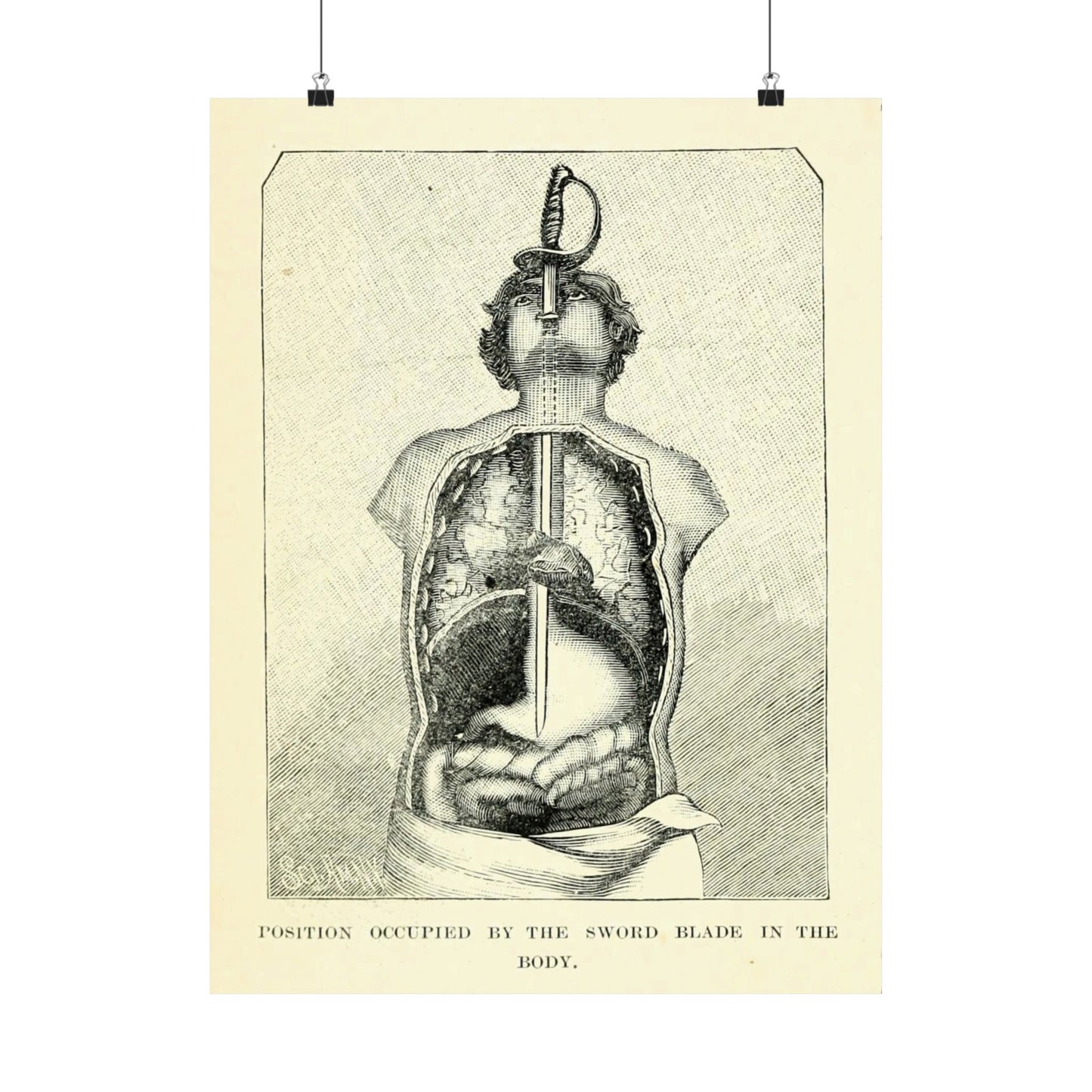 Sword Swallower Anatomy 1897 Engraving from Magic: Stage Illusions and Scientific Diversions Vintage Sideshow Print