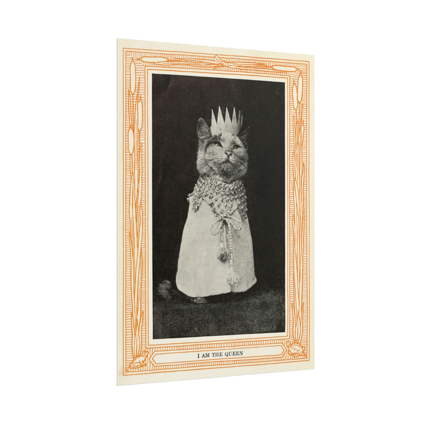 I Am the Queen – 1911 Vintage Cat Portrait – Whimsical Photograph by Eulalie Osgood Grover