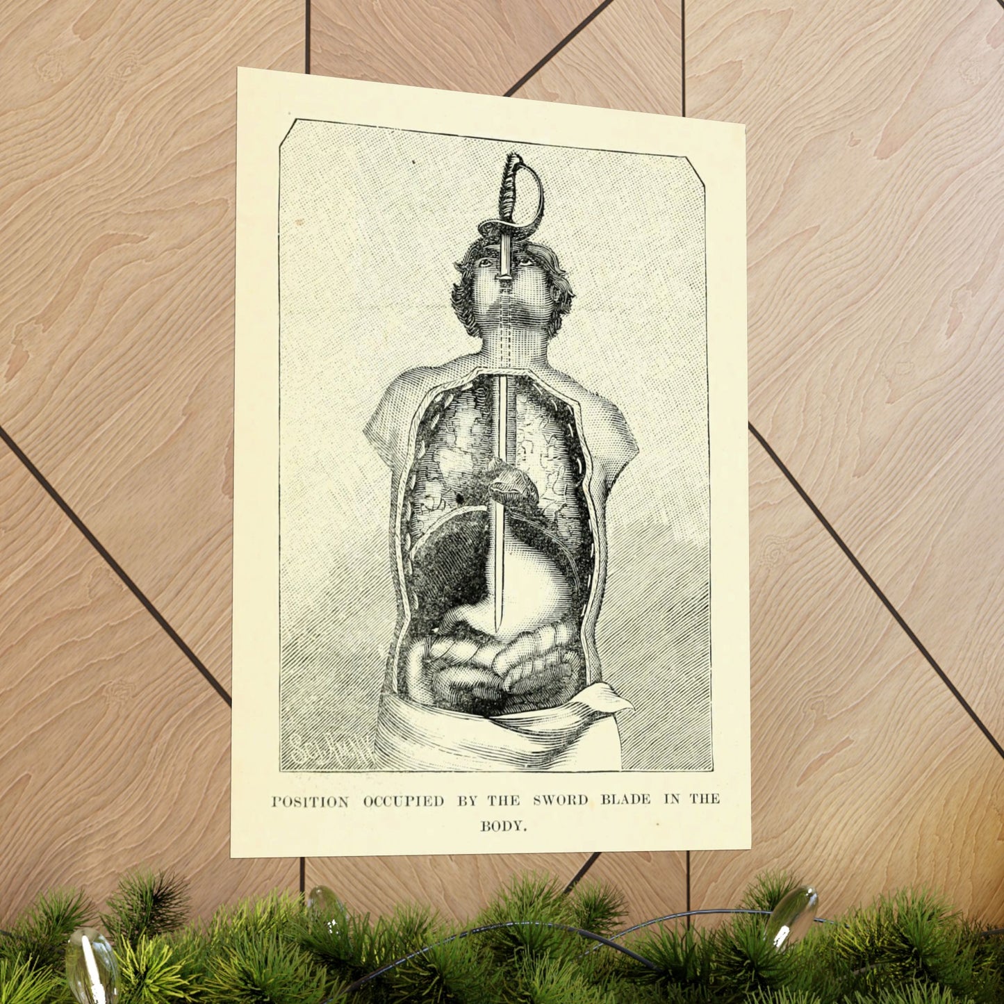 Sword Swallower Anatomy 1897 Engraving from Magic: Stage Illusions and Scientific Diversions Vintage Sideshow Print