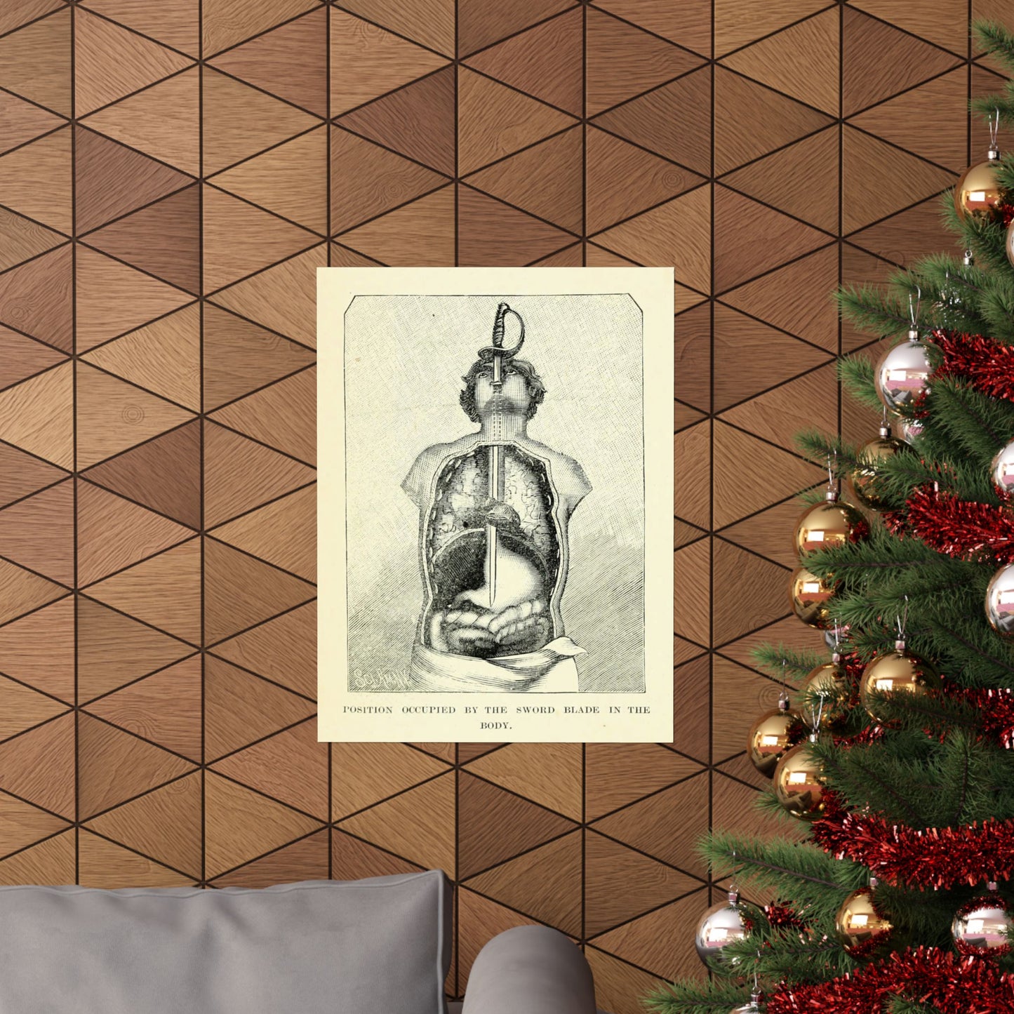 Sword Swallower Anatomy 1897 Engraving from Magic: Stage Illusions and Scientific Diversions Vintage Sideshow Print